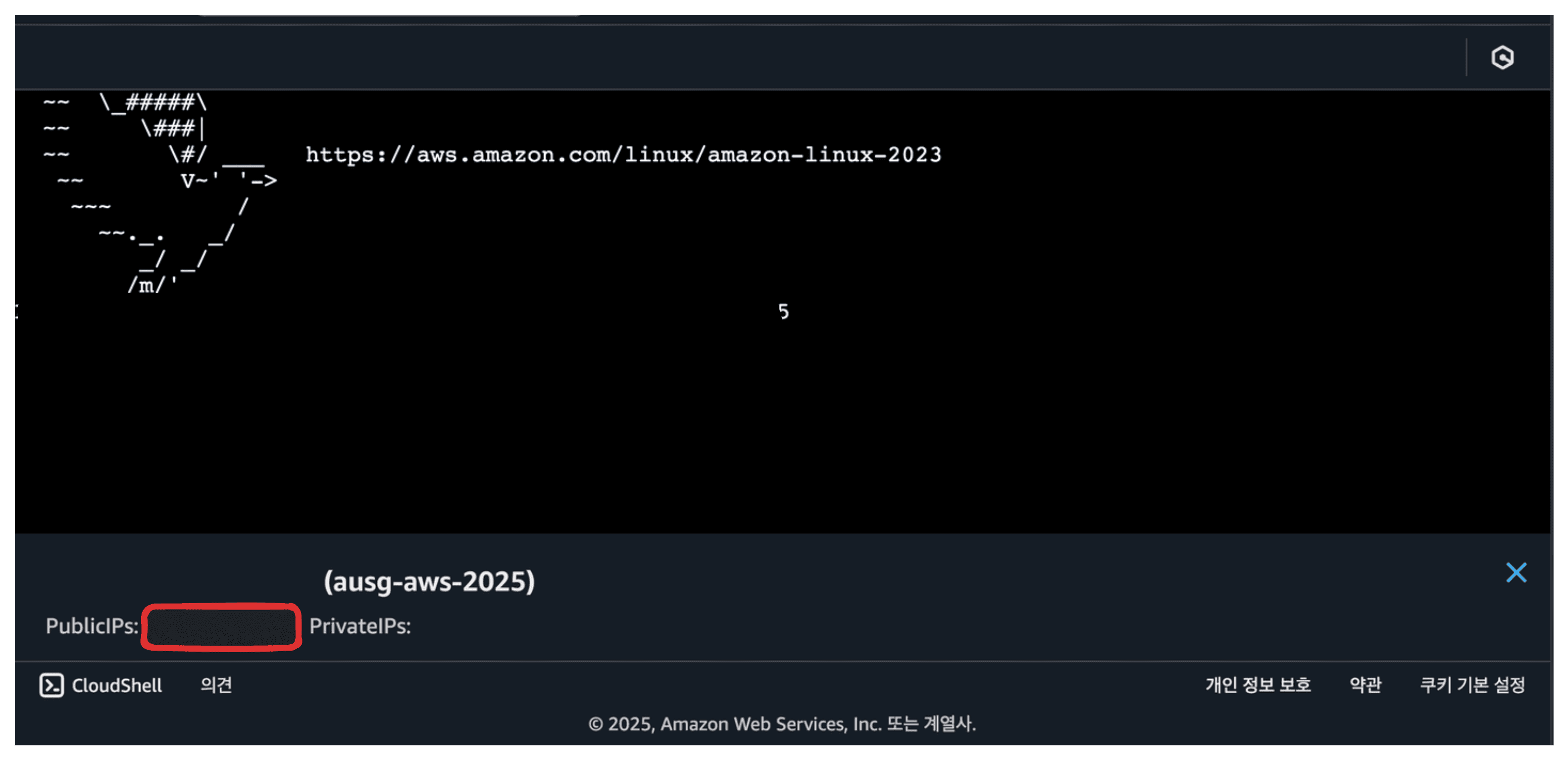 공개 아이피 복사하기